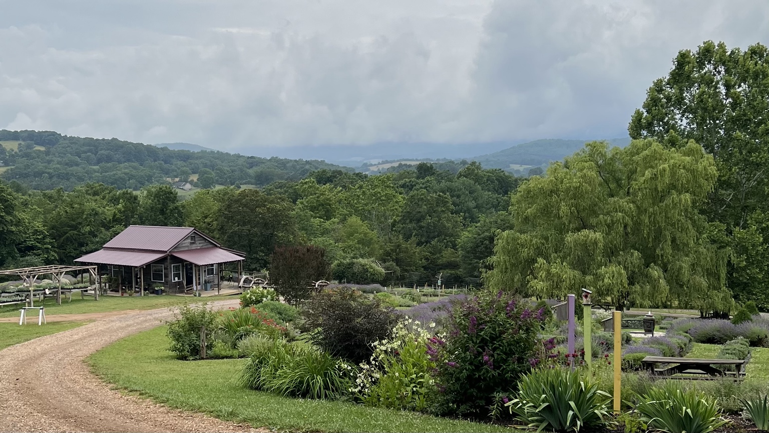 The farm driveway, garden, and main building at Tantivy Farm under a heavy, overcast sky