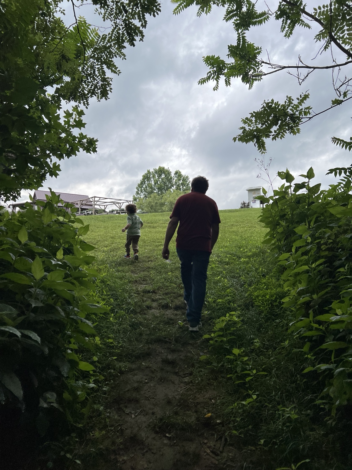 A man and a young child walking up a grassy hill away from a wooded trail
