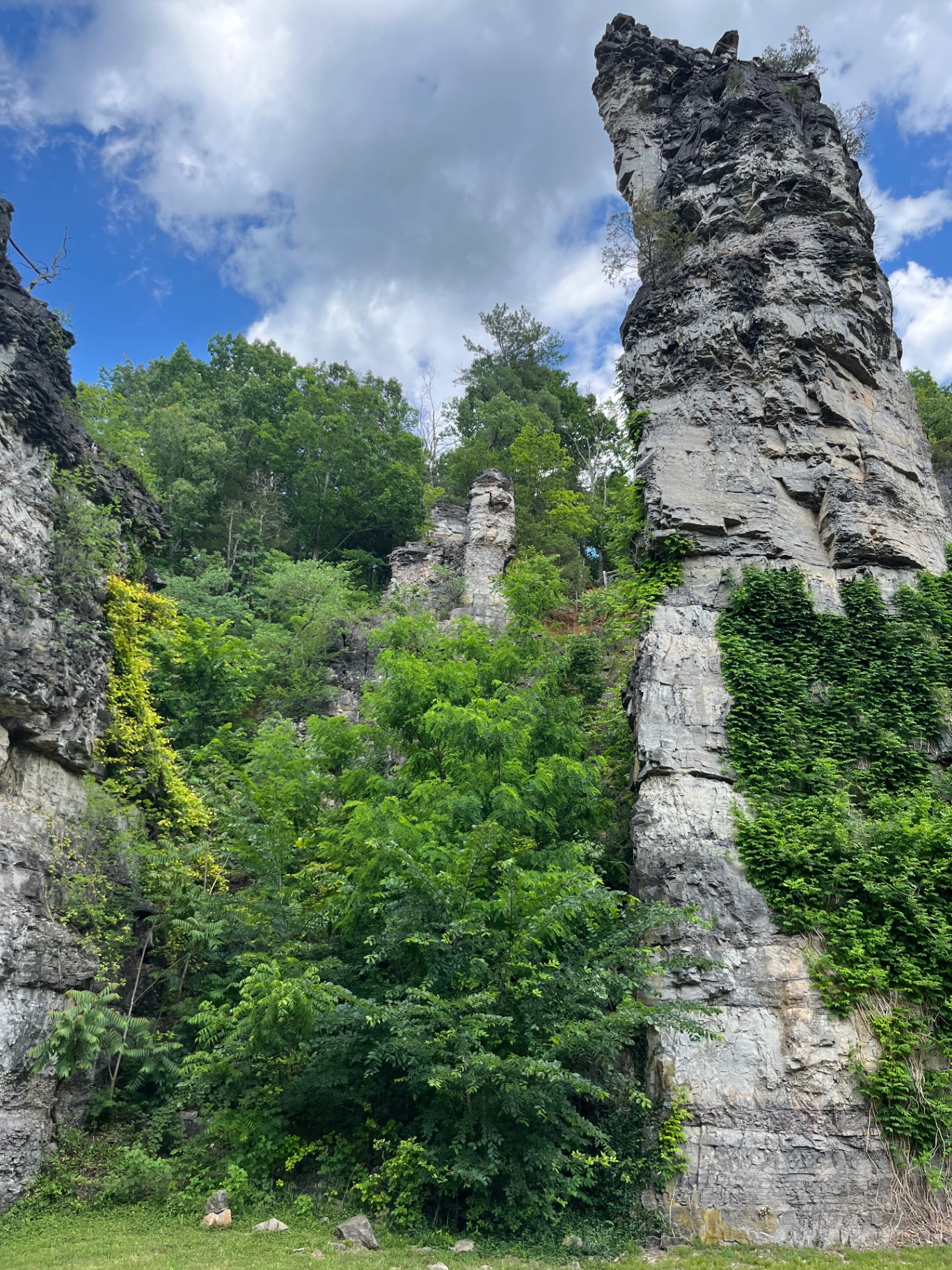 Looking up at a tall limestone chimney pillar covered in vines