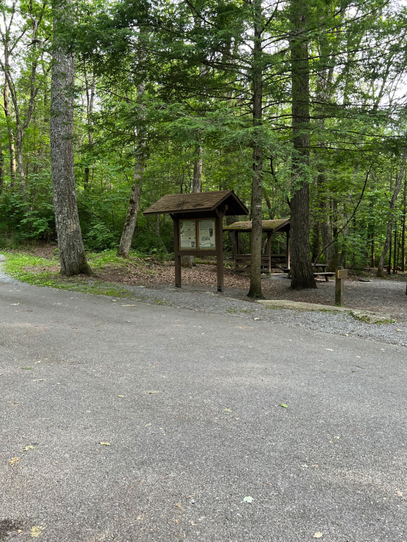 The Beartown trailhead with an information kiosk, picnic shelter, paved parking area, and the accessible entrance area.