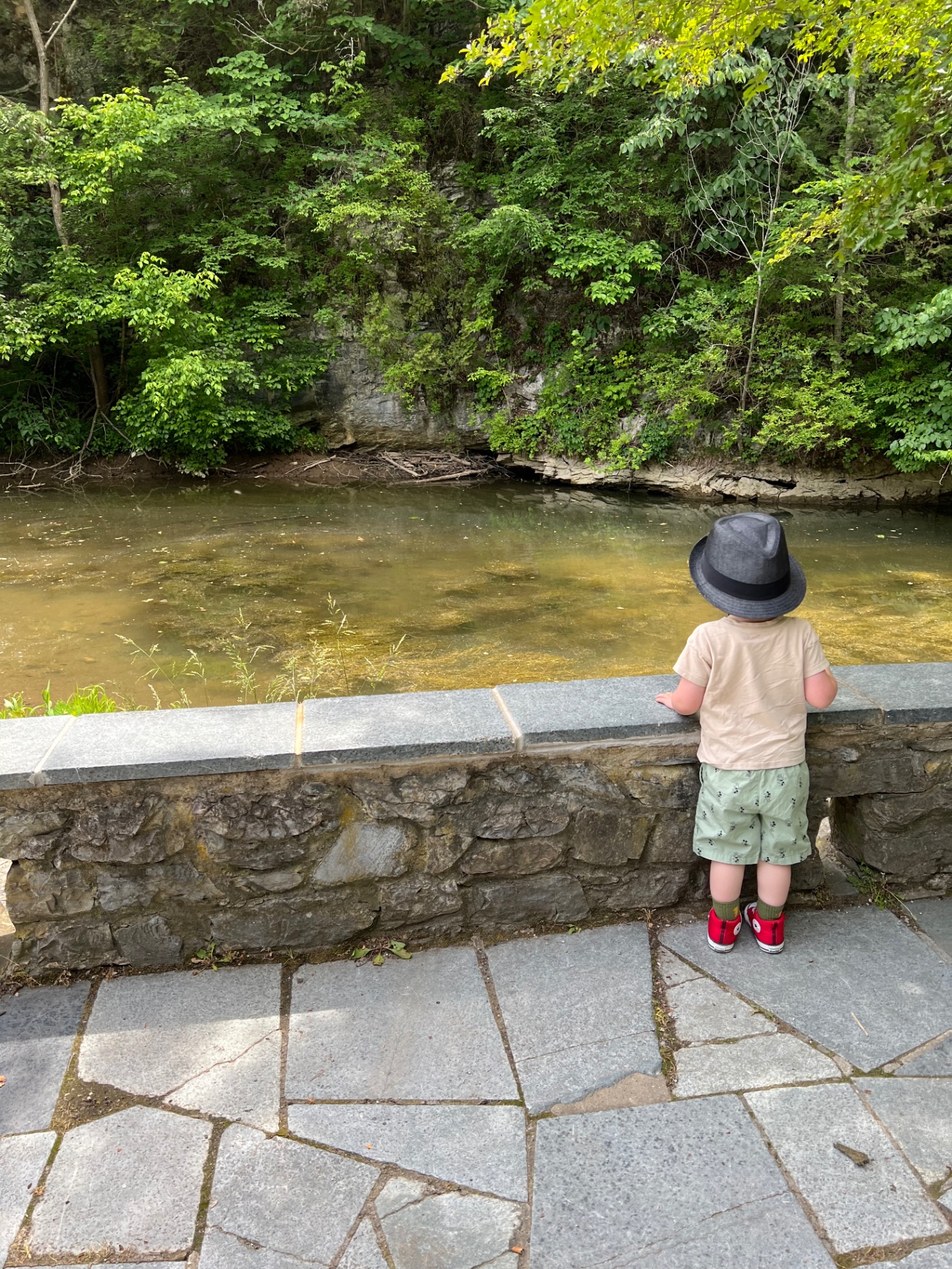 A small child in a fedora stands on a stone terrace, looking out over Cedar Creek and the wooded cliffs beyond