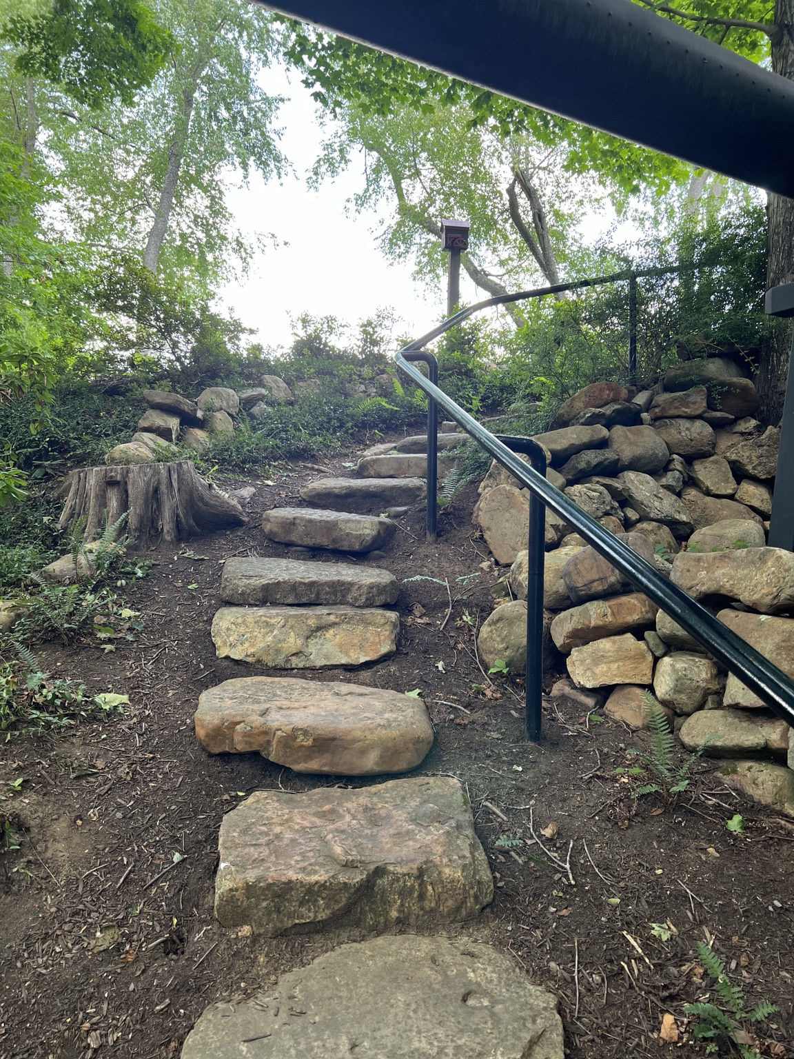 Uneven natural stone steps with a black metal handrail leading up a wooded slope on the Paint Bank property