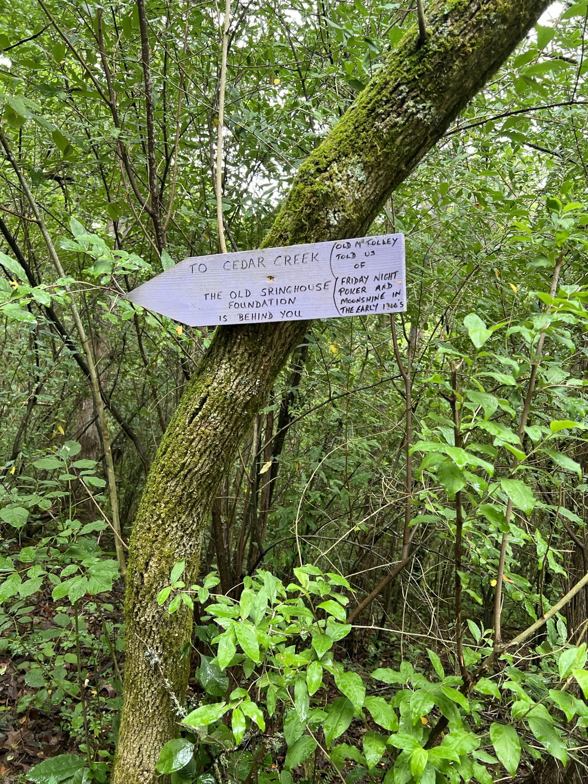A hand-painted purple arrow sign on a tree pointing toward Cedar Creek and historic foundations