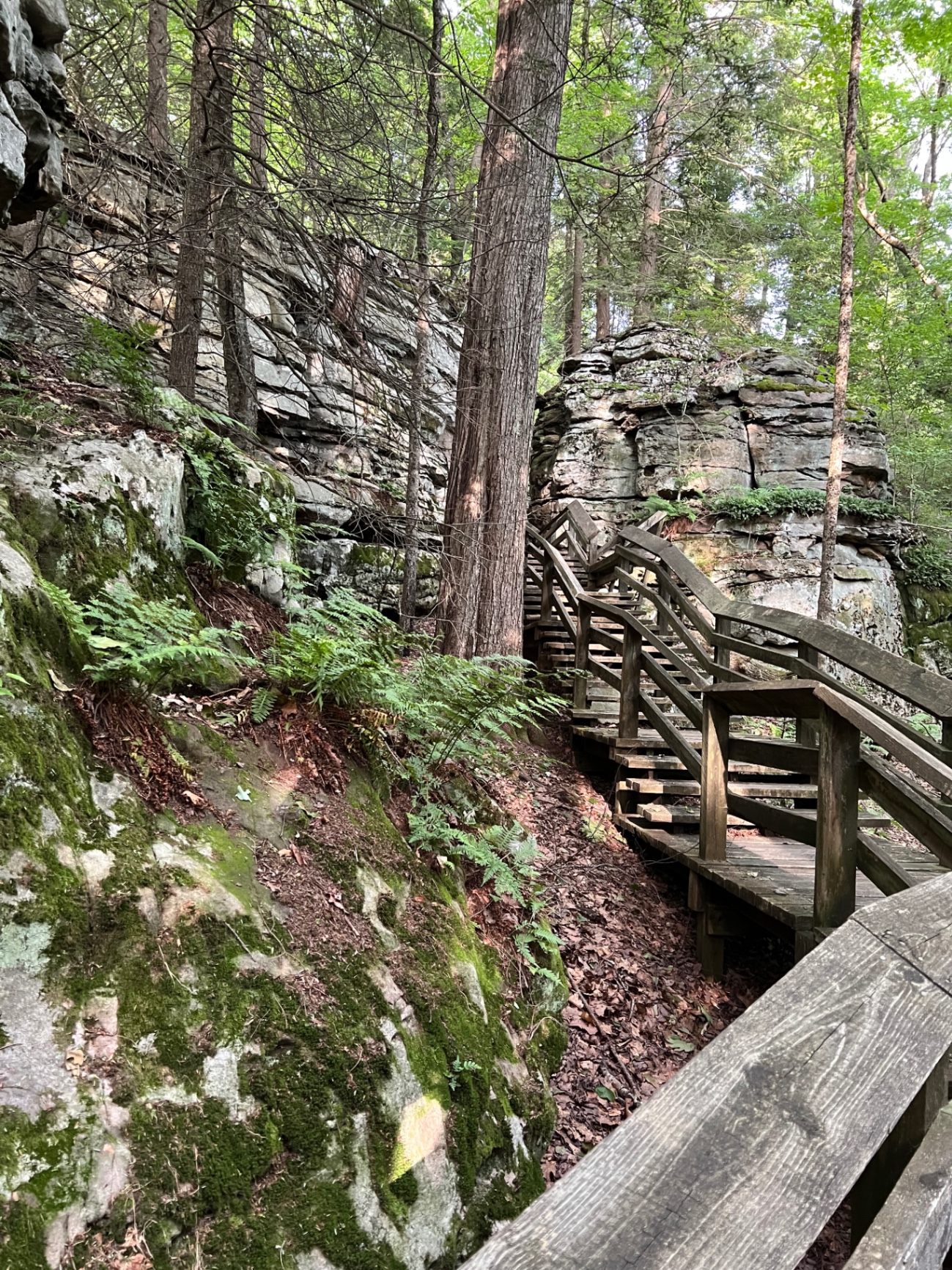 A wooden boardwalk winds uphill through mossy sandstone cliffs and ferns at Beartown State Park.