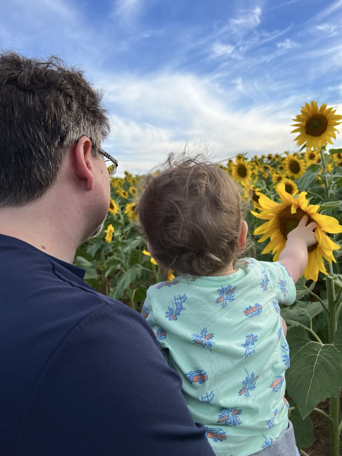 An adult holds the Littlest Wayfinder from behind as the child reaches out to touch a sunflower