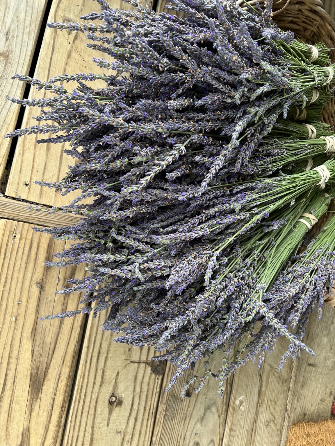 Large bundles of harvested dried lavender resting on a wooden deck