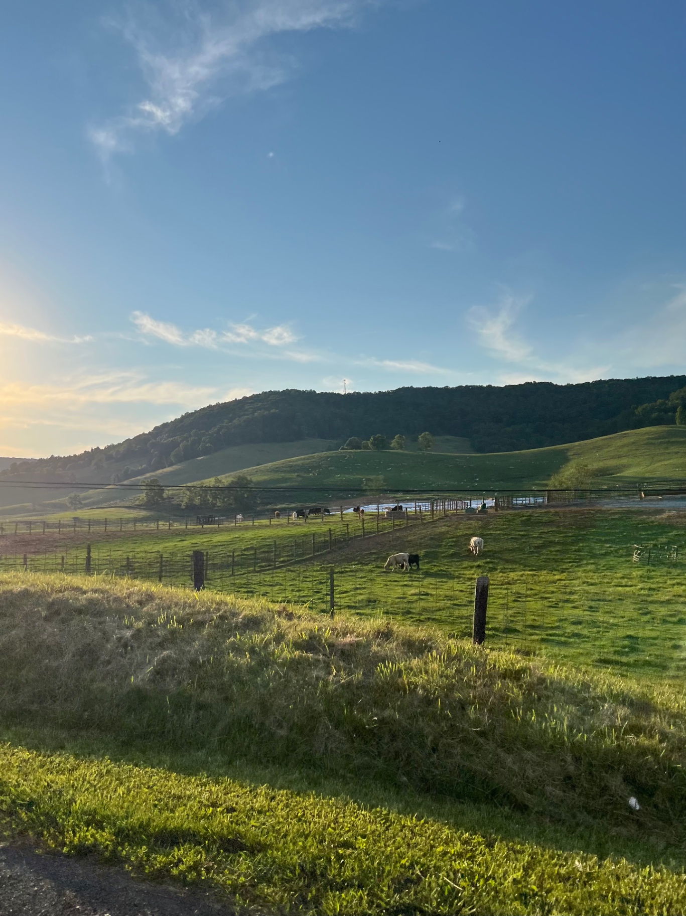 Evening sunlight falls across rolling green farmland and distant wooded hills along the drive to Beartown State Park.