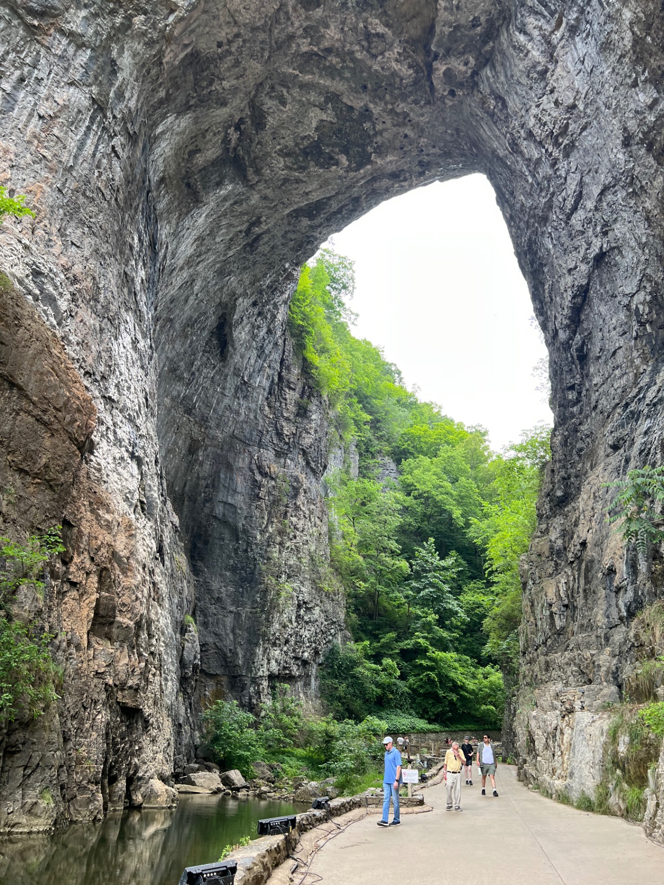 Looking straight up at the underside of Natural Bridge, a massive limestone arch spanning a narrow gorge