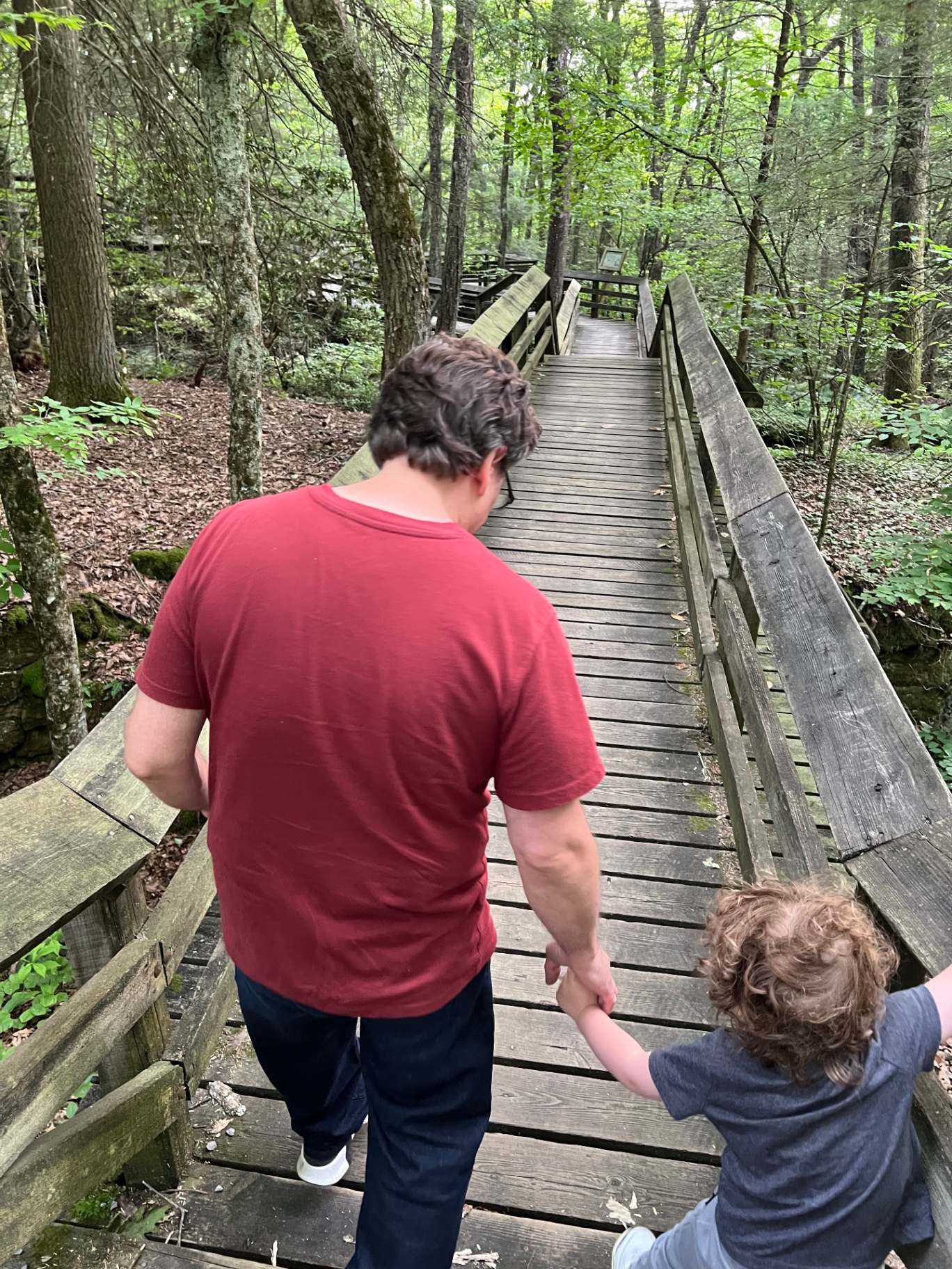 A father holds a young child’s hand while descending the Beartown boardwalk.