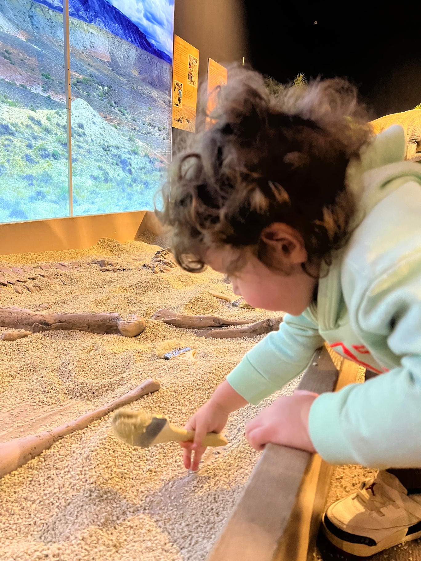 A child at the fossil dig pit inside the closed Age of Dinosaurs exhibit