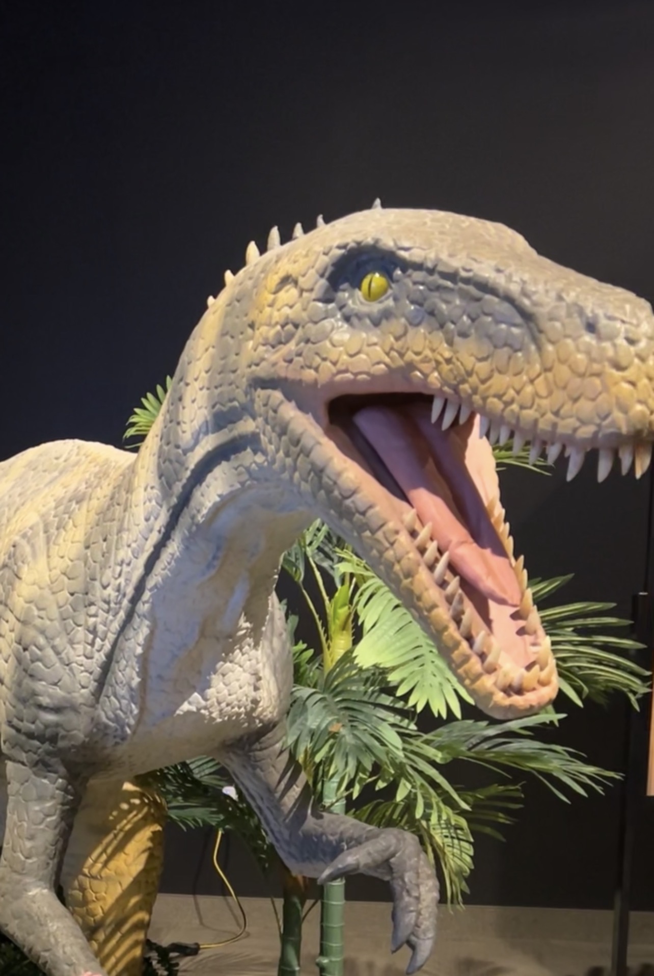 An animatronic dinosaur from the closed Age of Dinosaurs exhibit
