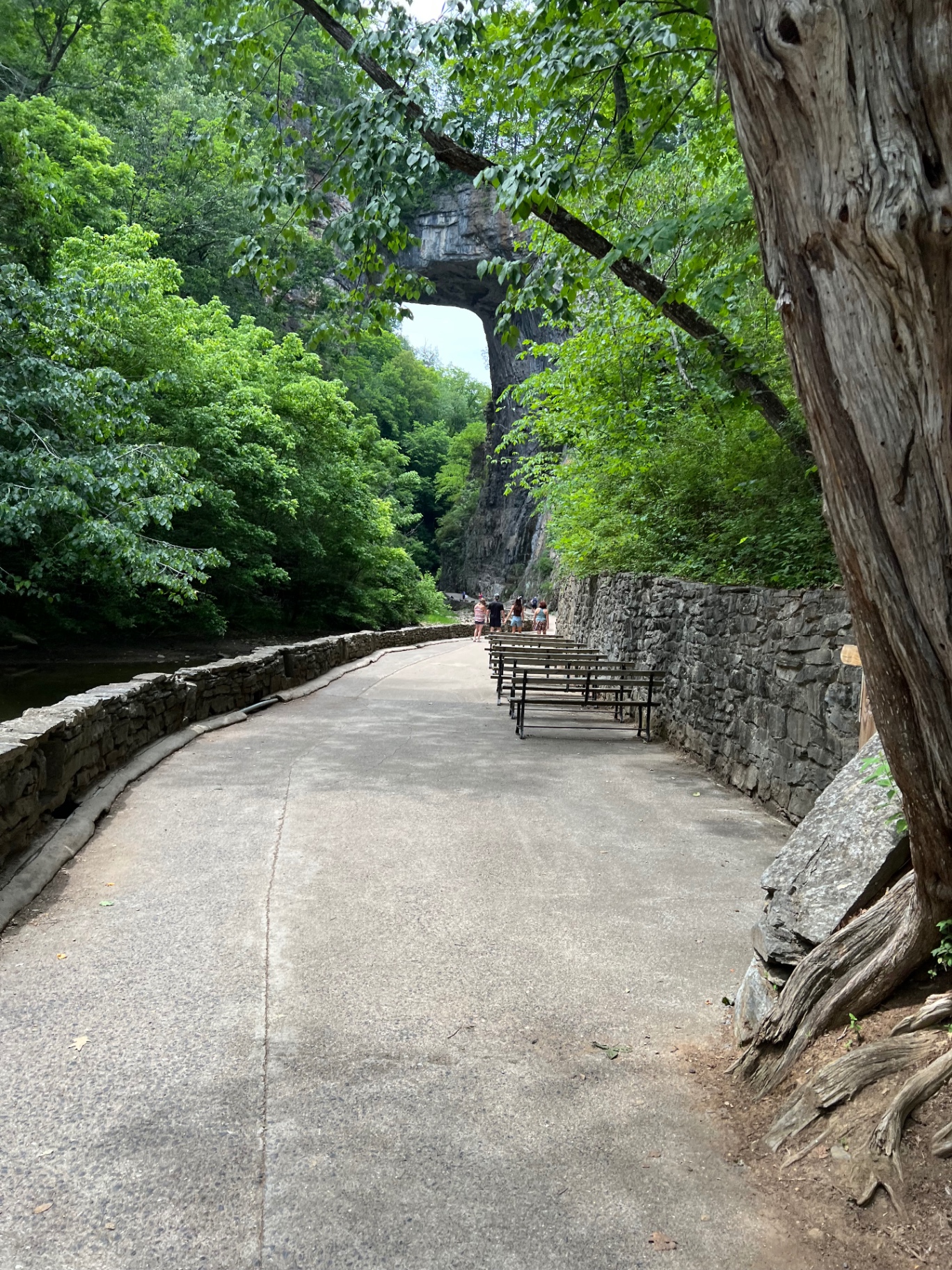 Cedar Creek Trail with benches along a stone wall, the Natural Bridge arch framed in trees ahead