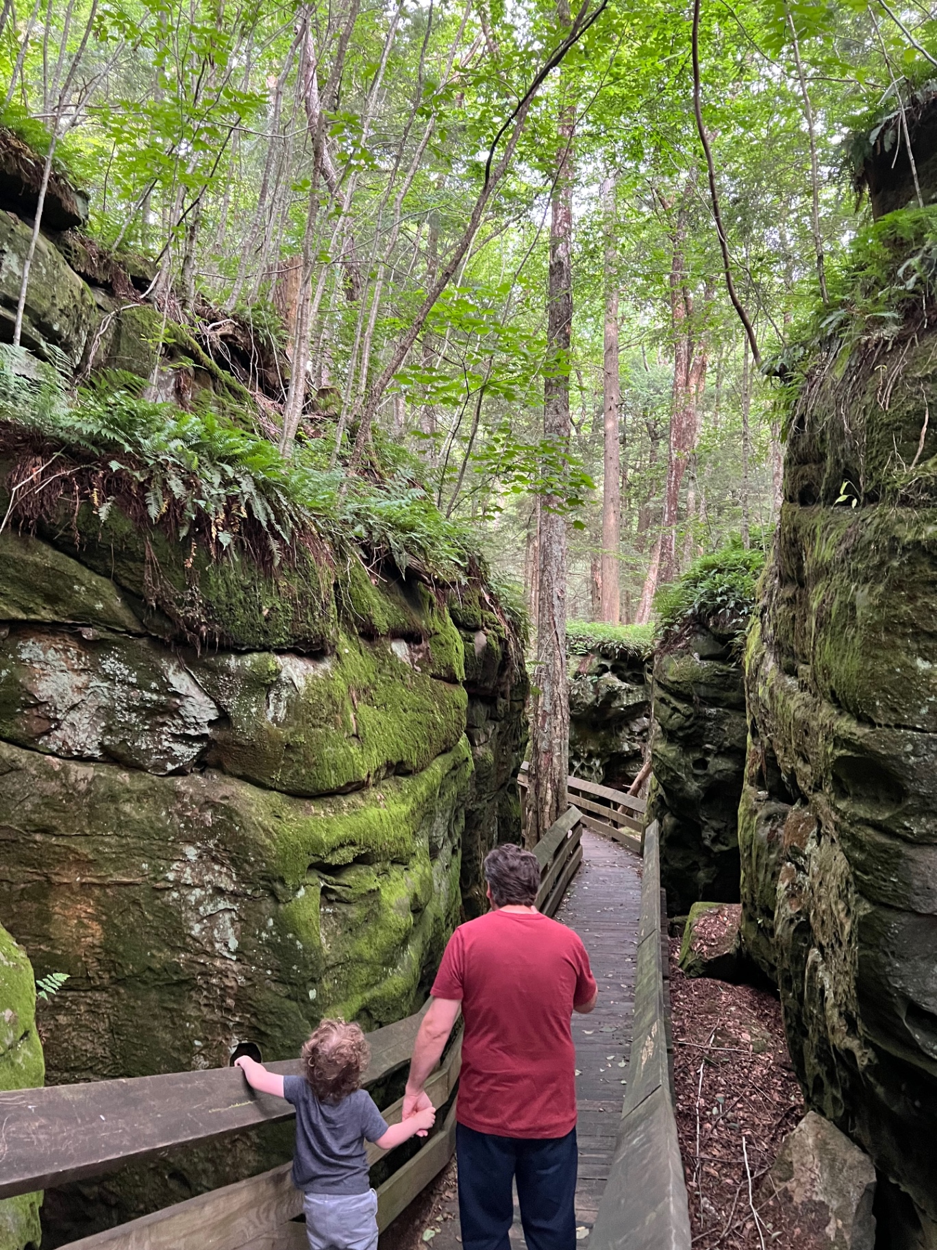 Beartown State Park