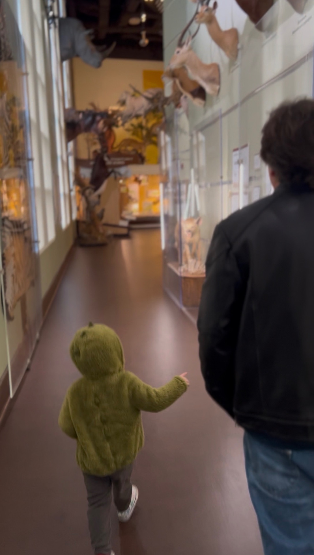 A child exploring the Virginia Museum of Natural History during our 2026 visit