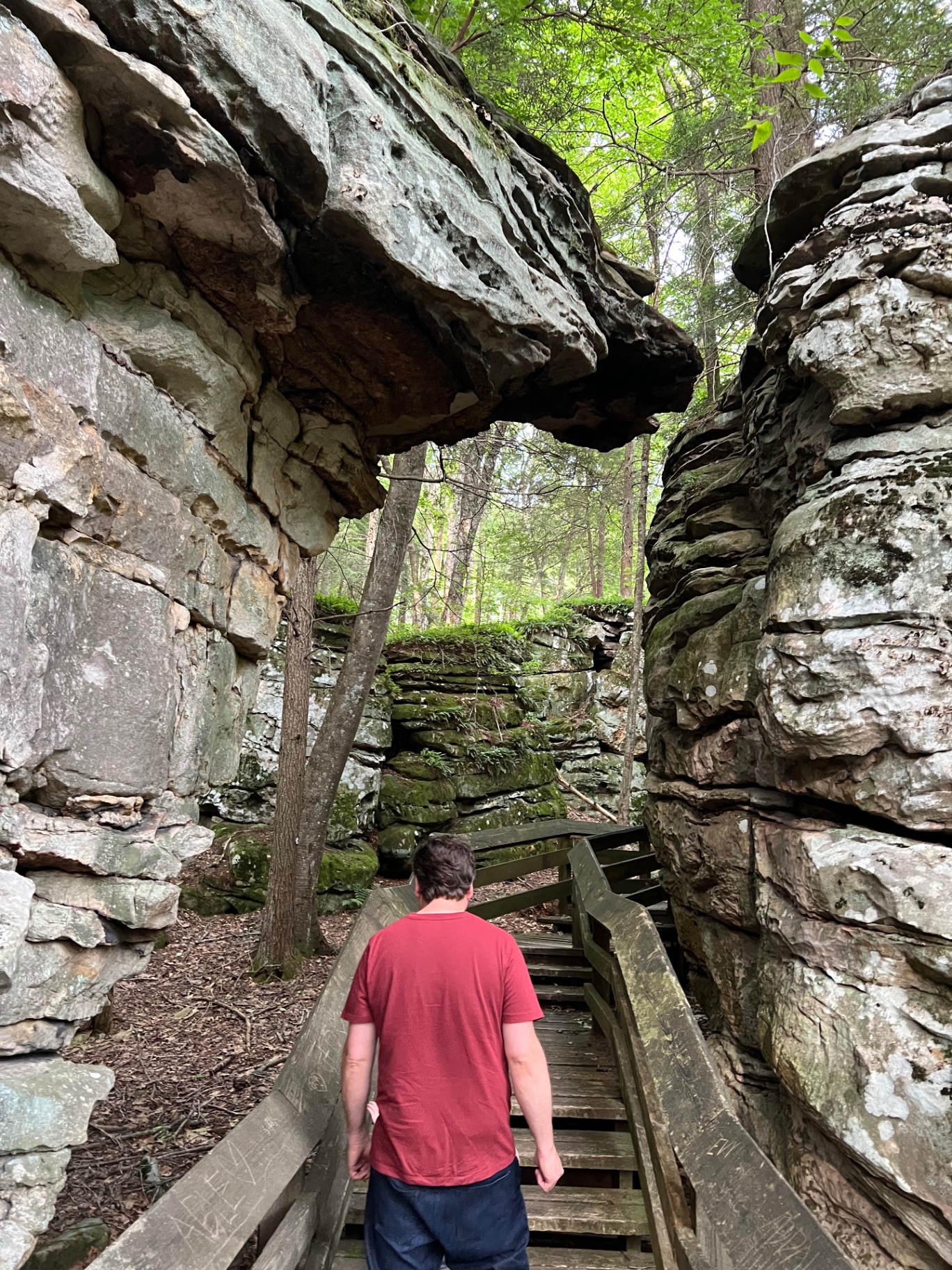 A visitor walks beneath an overhanging sandstone ledge along the Beartown boardwalk.