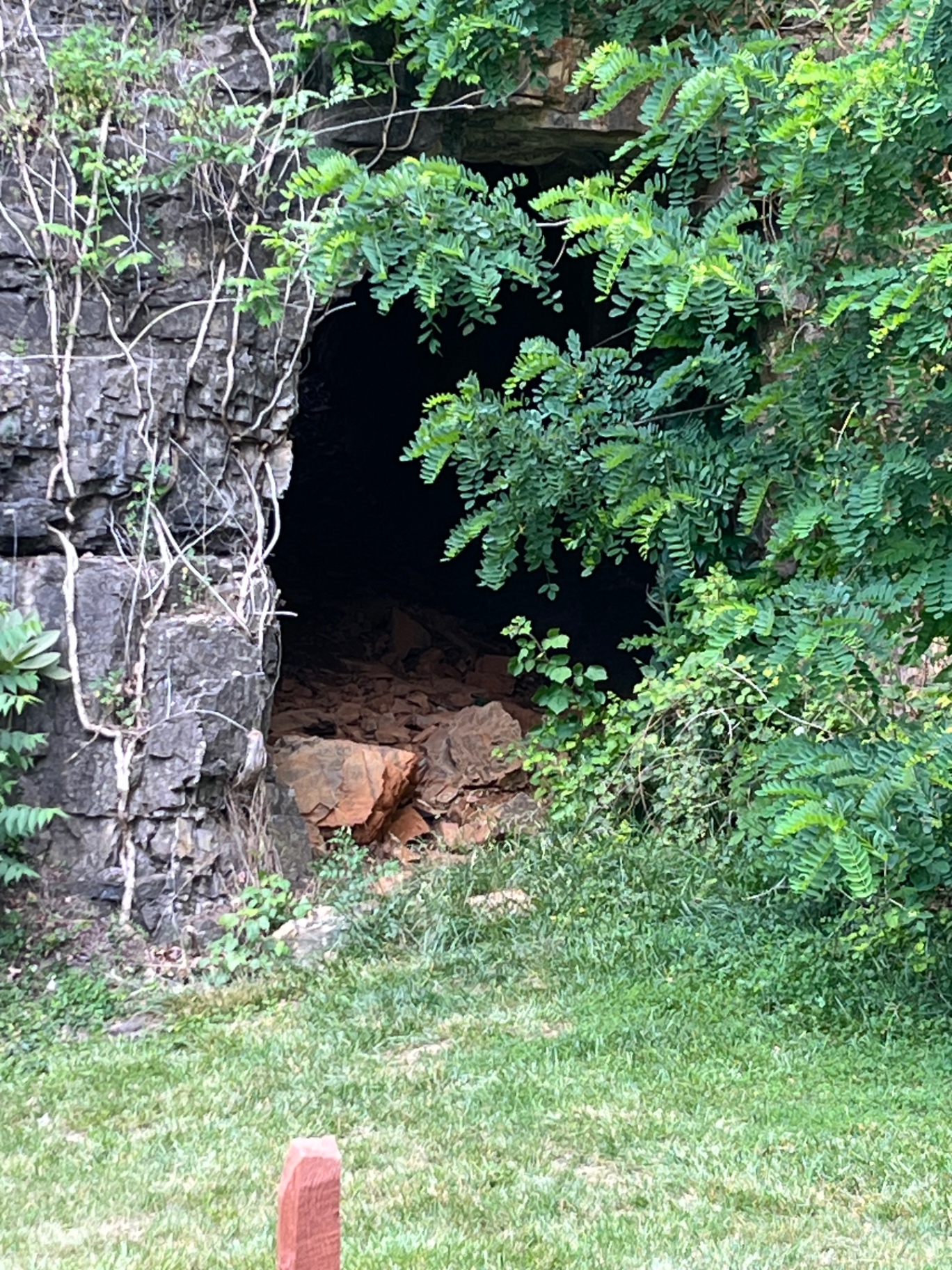 A dark cave opening at the base of the limestone chimneys, partly hidden behind green foliage