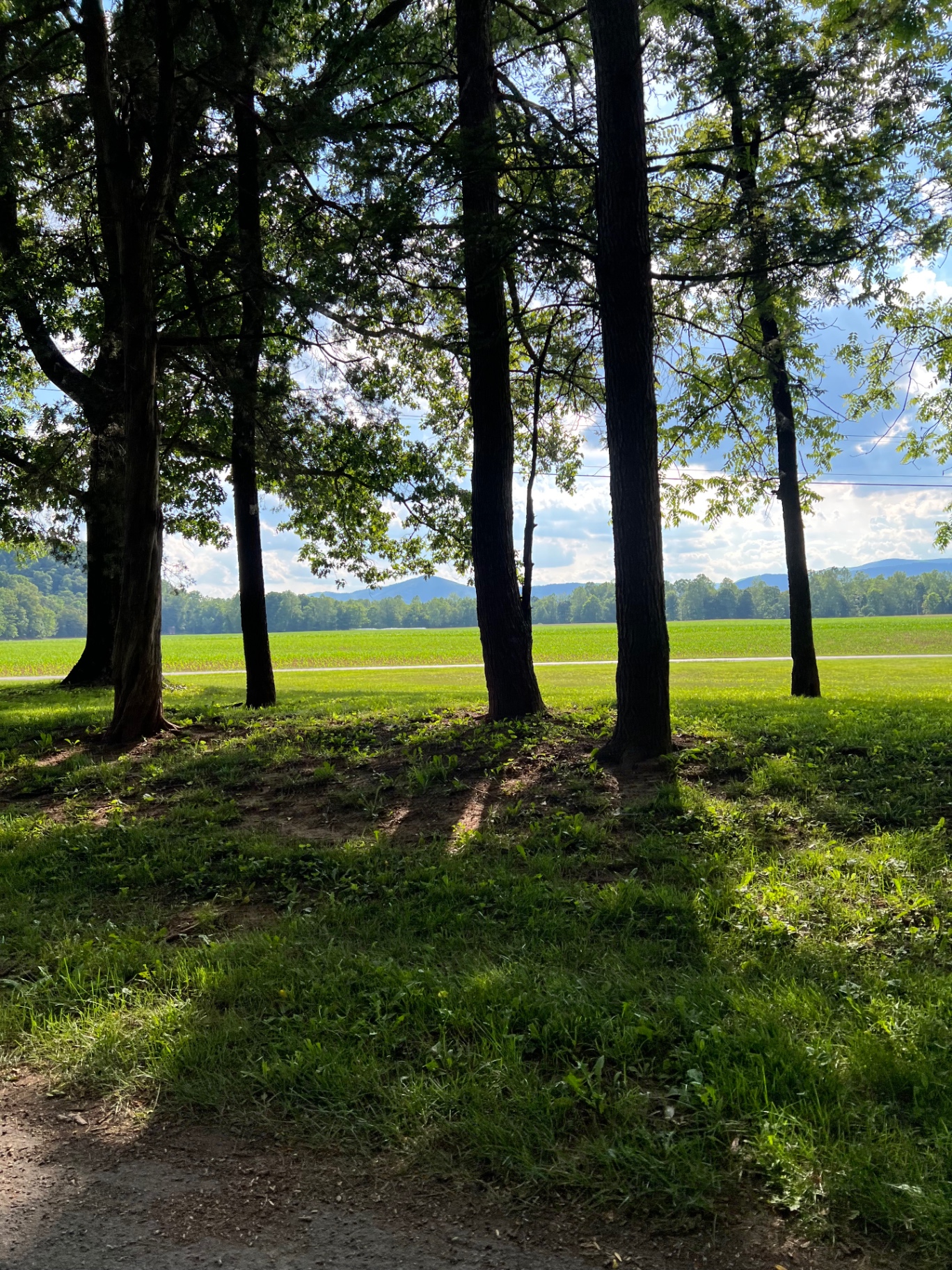 Tree-lined view of a bright green field under a blue sky with soft clouds — arriving at Natural Chimneys