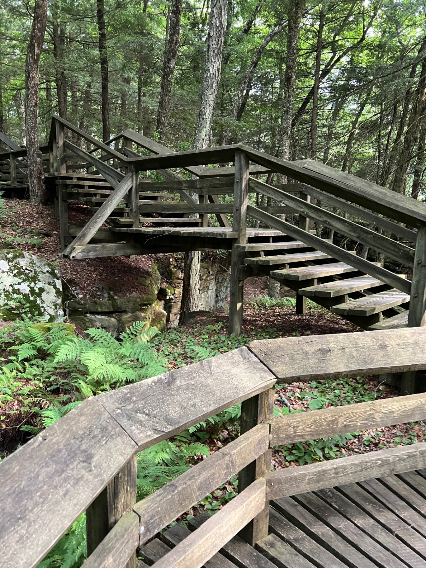 Weathered wooden stairs zigzag across sandstone outcrops surrounded by ferns.